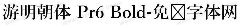 游明朝体 Pr6 Bold字体转换